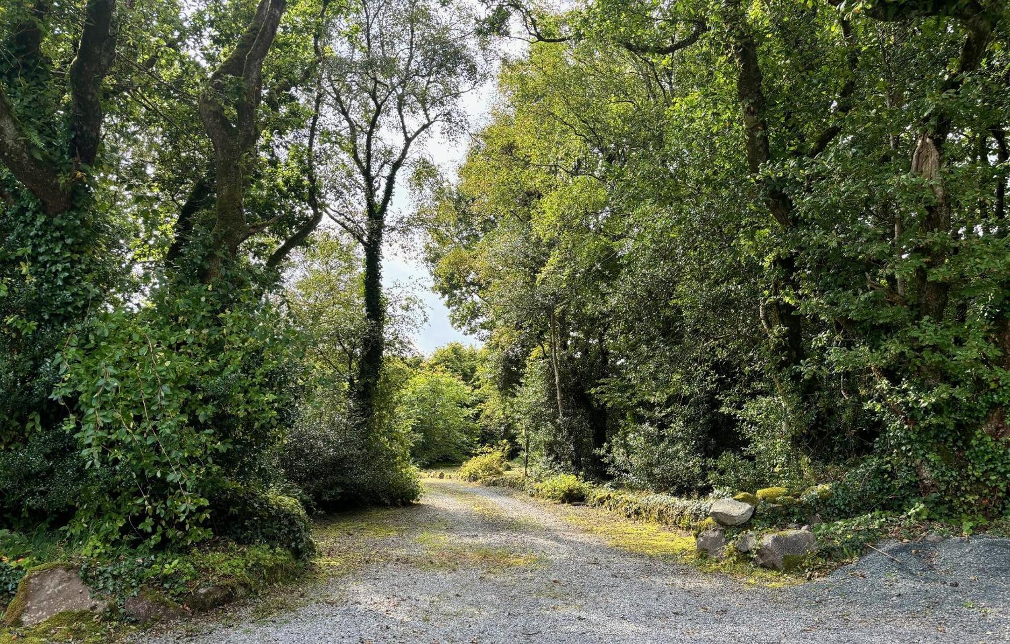 Sligo Forest Retreat Villa Exterior foto